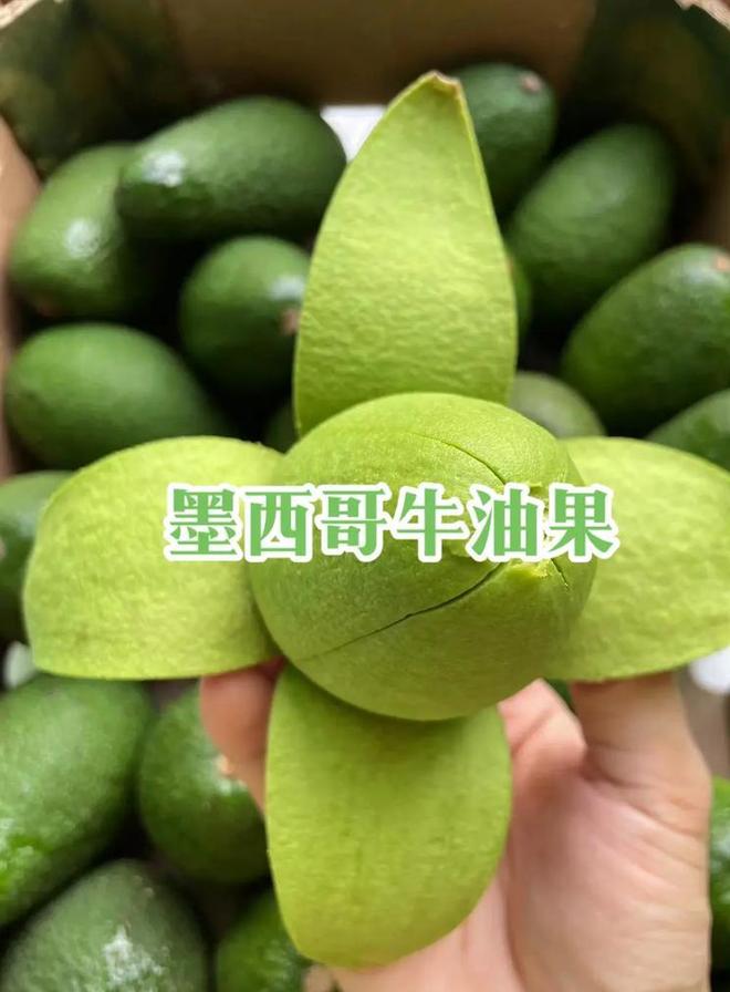 案要对中国加征关税中方已有应对方法澳门新葡京app281票赞成通过法(图6) 案要对中国加征关税中方已有应对方法澳门新葡京app281票赞成通过法(图6)